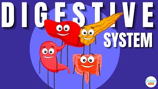 Digestive System Ingestion to Egestion Explained in Simple Words [upl. by Carper619]