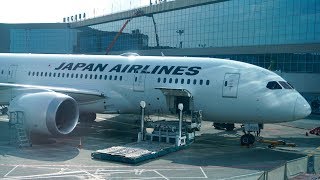 Japan Airlines Business Class Review  B7878 Dreamliner  Moscow to Tokyo [upl. by Aerdno459]