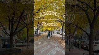 Autumn across downtown Toronto [upl. by Yalhsa949]