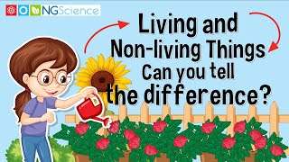 Quiz living and nonliving things  Olympiad questions for class 1 science livingandnonlivingthings [upl. by Carlin559]