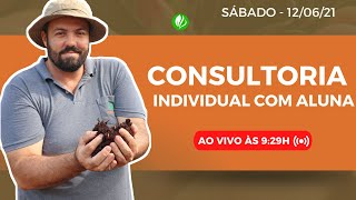 CONSULTORIA INDIVIDUAL COM ALUNA [upl. by Nosmoht]