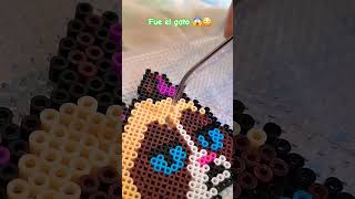 gato hamabeads cat humor [upl. by Aenneea419]