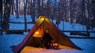 Winter camping in Michigan  Solo ASMR [upl. by Alfy]