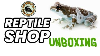 Unboxing Milk Frogs Tortoise Bearded Dragons [upl. by Nuawtna]