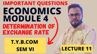 11 TYBCOM Economics Sem VI  Module 4  Determination of Foreign Exchange Rate [upl. by Hinch271]