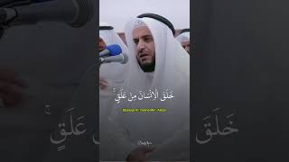 Beautiful Quran Recitation [upl. by Harmony720]