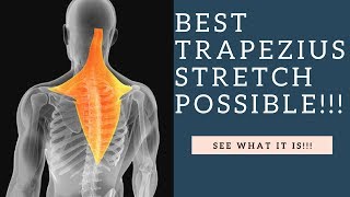 BEST Trapezius Muscle Stretch For Neck Pain Relief Using The PNF Technique [upl. by Metah]