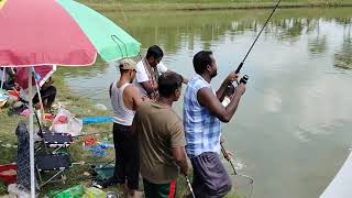 A Beginner’s Guide to Catching Catfish in Ponds [upl. by Yahsel]