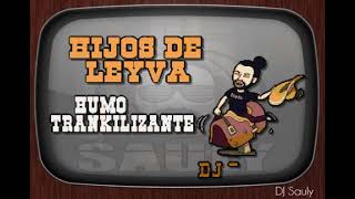 Hijos De Leyva  Humo Trankilizante Karaoke [upl. by Ecille738]