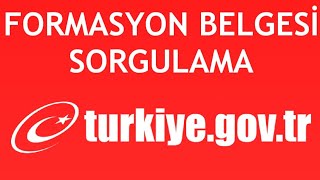 EDevlet Formasyon Belgesi Sorgulama Nasıl Yapılır [upl. by Dempster103]