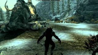 Skyrim graphics glitchbug READ DESCRIPTION [upl. by Arakal]