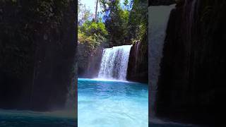 Kawasan Falls Badian Cebu nature explorethebeautyofnature travel [upl. by Krahling]