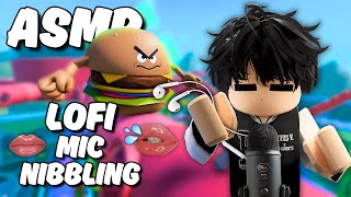 Roblox ASMR  INTENSE Mic Nibbling Mouth Sounds 👄💦 LOFI [upl. by Lichter881]