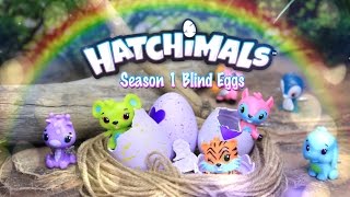 Hatchimals CollEGGtibles Season One Surprise Blind Bags HATCHING  Toy Review  4K [upl. by Airat]