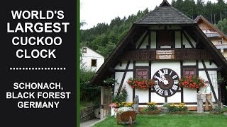 Worlds Largest Cuckoo Clock  Schonach Black Forest Germany [upl. by Inverson]