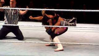 WWE Natalya vs AJ Lee in Toronto [upl. by Ganley859]