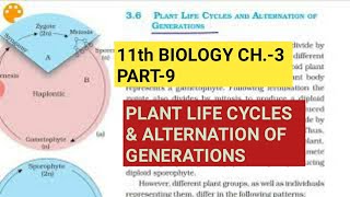 NCERT NEET Biology  Plant Kingdom L10  Angiosperms Alternation amp Lifecycles  Pankhuri maam [upl. by Aramal]