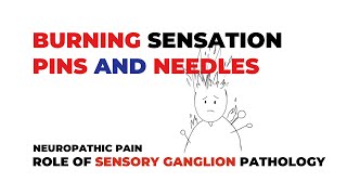 Neuropathic Pain and Sensory Ganglion Pathology [upl. by Kenric]