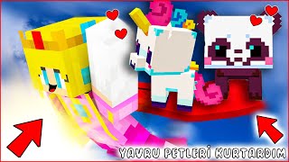 👶🏼 YUMURTADAN ÇIKAN YAVRU HAYVANLARA BAKTIM 😍  MİNECRAFT HİKAYE 🥰 [upl. by Neva]