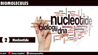 2 Biomolecules  Nucleotides  NCERT 11  Biology Simplified  Dr Aarif [upl. by Ttenaej197]