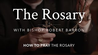 How to Pray the Rosary with Bishop Barron [upl. by Kiyohara11]