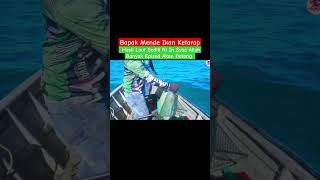 Besar Ikan Ketarap orangsedili fishing mancinglaut merawai parrotfish shorts viral bayan [upl. by Husch]