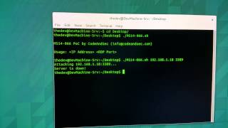 CVE20146321 MS14066 Crash PoC by CodeAndSec RDP [upl. by Anassor]