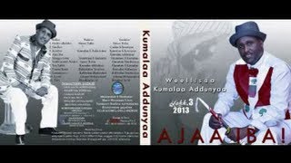 Kumala Addunyas new music album Ajaaiba Promo  2013 Oromo Music [upl. by Ecitsuj773]