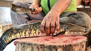 Amazing Big Snake HeadSolaMurrel Fish Cutting By Expert Fish Cutter  Fish Cutting Skills [upl. by Ennazzus]