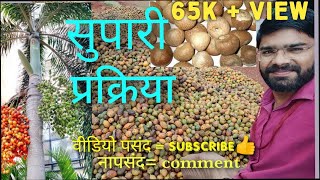 SupariAreca nut processingसुपारी प्रक्रिया [upl. by Ocirred]