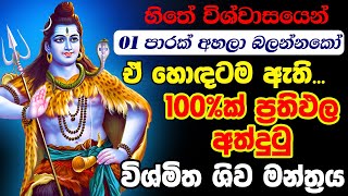 Miracle Shiva Mantra Trance  සුළු මොහොතකින්ම මෙහි බලය ඔබටම දැනේවි  Shiv Tandav Stotram Shiva Songs [upl. by Notnil]