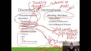 Pharmacology II Anticoagulants and Antiplatelets part 1 [upl. by Allecram189]