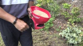 How To Plant Grass Seeds [upl. by Suolevram]