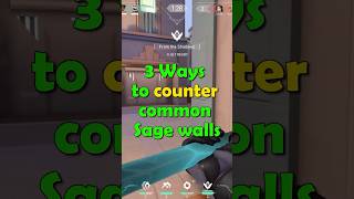 Ways To Counter Common Sage Walls [upl. by Ennayhs]