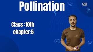 Pollination in urdu Hindi  class 10th  chapter 5 [upl. by Aynik]