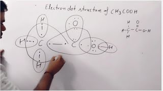 Electron dot structure of acetic acid ch3cooh Lewis structure of ch3cooh class 10 class 12 chemistry [upl. by Eliott]