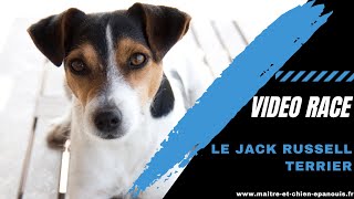 Video Race Jack Russell Terrier  le point complet [upl. by Klute]