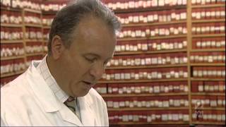 How does Homeopathy Work part 1 [upl. by Nimsaj687]