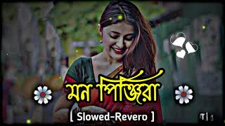 Mon Pinjira  মন পিঞ্জিরা  Rakib amp Shilpi Biswas   Loft Slowed and Reverb  Bangla song [upl. by Lehcem12]