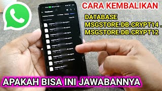 apakah bisa mengembalikan database msgstoredbcrypt14  msgstoredbcrypt12 [upl. by Crudden455]