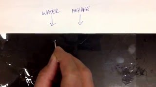 Water vs hexane lab  intermolecular forces [upl. by Fabiano877]