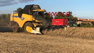 TREBBIATURA SOIA 2021 DIDONE CON NEW HOLLAND CX 5080 ampCX 5090 E DEUTZ FAHR 100 [upl. by Howey]