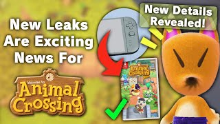 Huge New Leaks Are EXCITING News For Animal Crossing [upl. by Oruasi303]