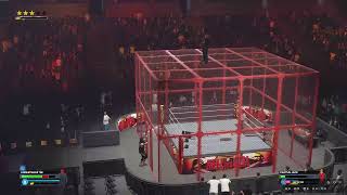 The Undertaker vs Mick Foley – Hell in a Cell Match [upl. by Shelden683]