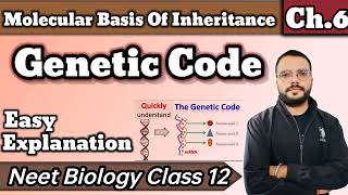 Genetic Code  Molecular Basis Of Inheritance [upl. by Lewis460]