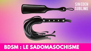 91  BDSM  Le sadomasochisme [upl. by Neils962]