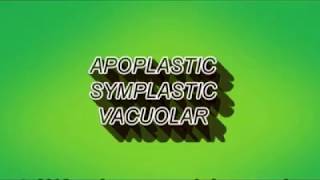 Apoplast symplast and vacuolar pathway [upl. by Eetnahc196]