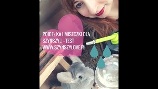 Szynszyla  najlepsze poidełka miseczki i paśniki dla szynszyli  test [upl. by Asalocin]