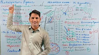 Photosynthetic pigmentsChlorophyllCarotenoidBioenergeticsNCRT MDCATHindi UrduProSuresh Kumar [upl. by Curran483]