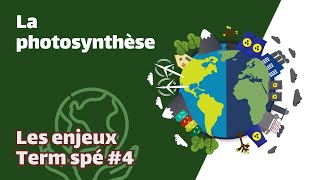 La photosynthèse  SVT  ENJEUX Term spé 4  Mathrix [upl. by Erv401]